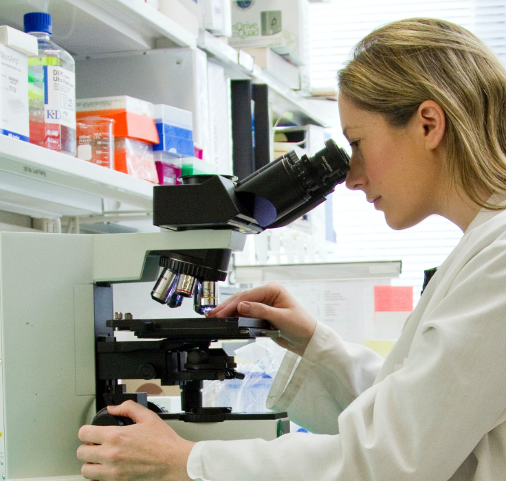 Researcher studying sample on microscope